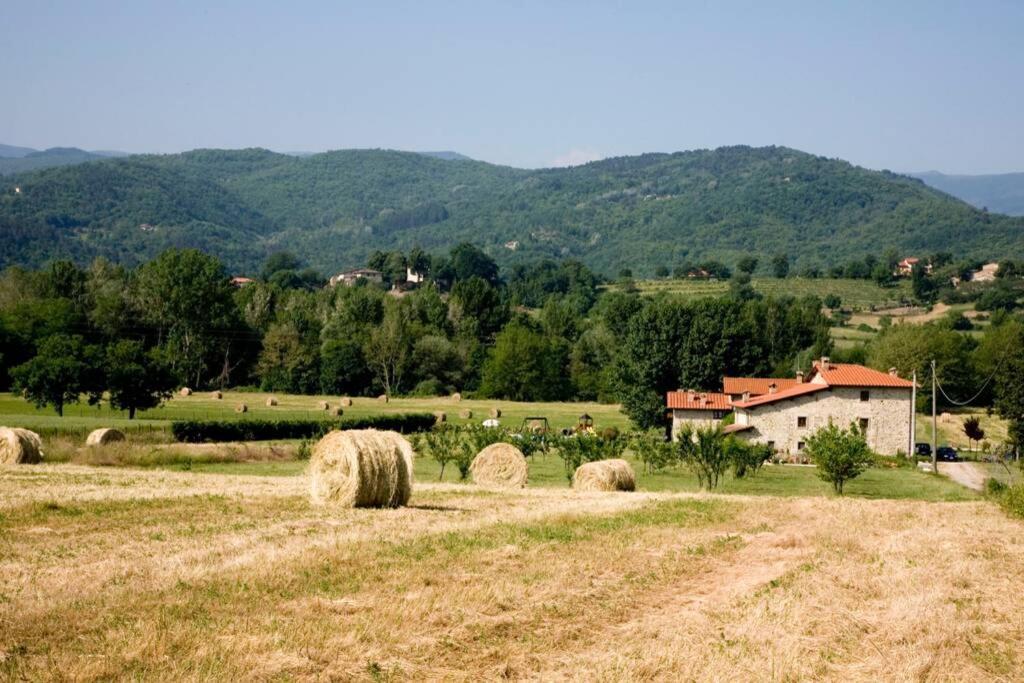 Villino In The Hearth Of Tuscany, Quiet Unforgettable Place. Poppi Buitenkant foto